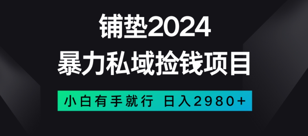 暴力私域捡钱项目，小白无脑操作，日入2980【揭秘】-讯领网创