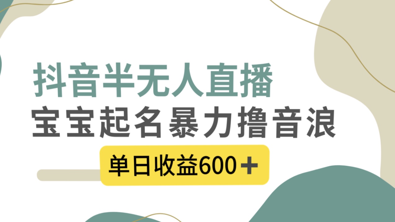 抖音半无人直播，宝宝起名，暴力撸音浪，单日收益600+-讯领网创