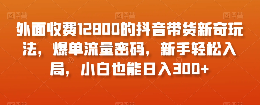 外面收费12800的抖音带货新奇玩法，爆单流量密码，新手轻松入局，小白也能日入300+【揭秘】-讯领网创