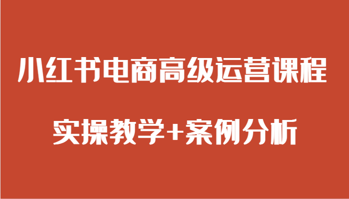 小红书电商高级运营课程 实操教学+案例分析-讯领网创