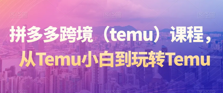 拼多多跨境（temu）课程，从Temu小白到玩转Temu-讯领网创