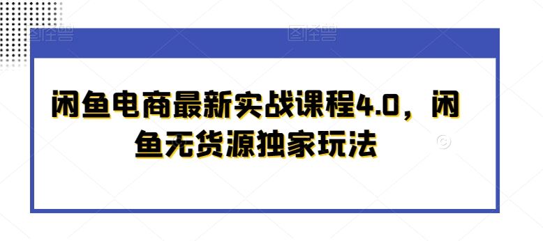 闲鱼电商最新实战课程4.0，闲鱼无货源独家玩法-讯领网创