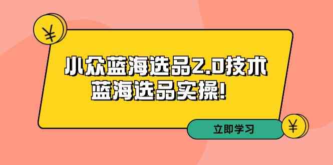 拼多多培训第33期：小众蓝海选品2.0技术-蓝海选品实操！-讯领网创