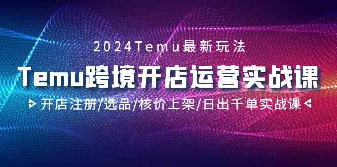 2024Temu跨境开店运营实战课，开店注册/选品/核价上架/日出千单实战课-讯领网创