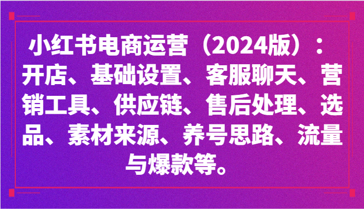 小红书电商运营（2024版）：开店、设置、供应链、选品、素材、养号、流量与爆款等-讯领网创