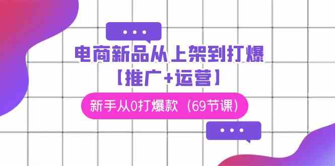 电商新品从上架到打爆【推广+运营】，新手从0打爆款（69节课）-讯领网创