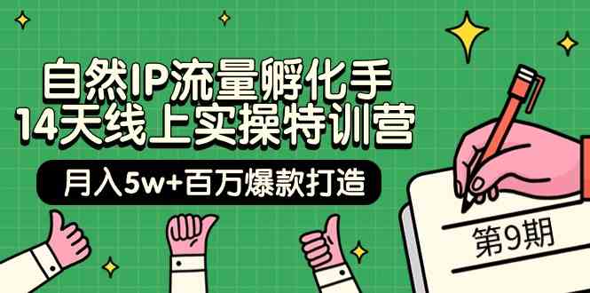 自然IP流量孵化手 14天线上实操特训营【第9期】月入5w+百万爆款打造 (74节)-讯领网创