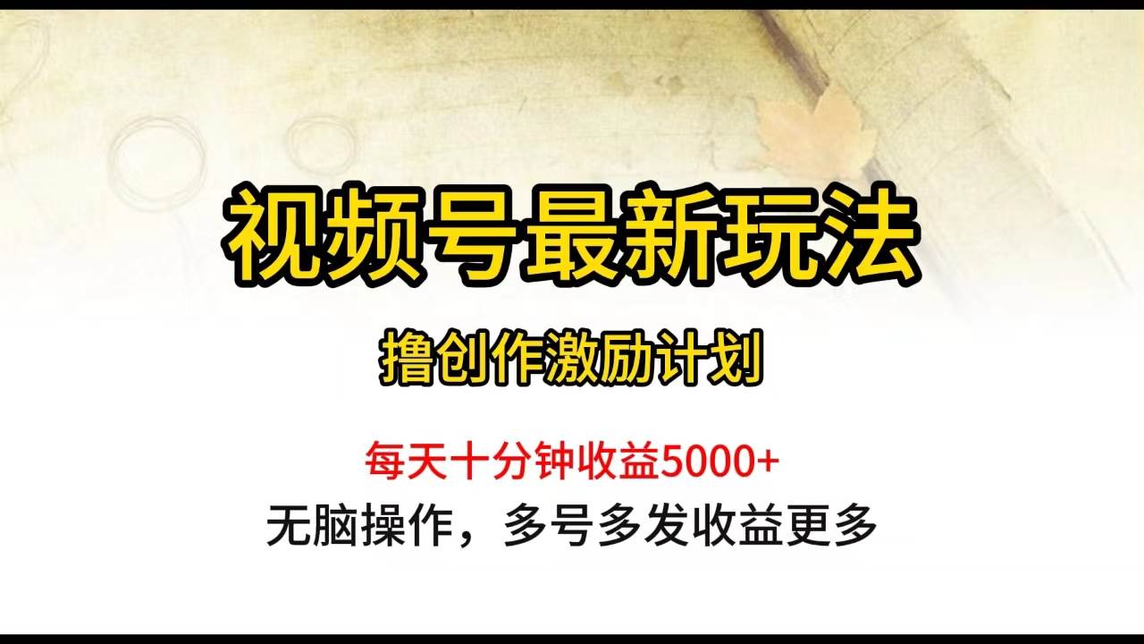 视频号最新玩法，每日一小时月入5000+-讯领网创