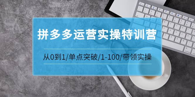 拼多多运营实操特训营：从0到1/单点突破/1-100/带领实操 价值2980元-讯领网创