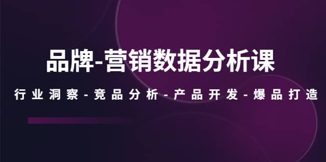 品牌-营销数据分析课，行业洞察-竞品分析-产品开发-爆品打造-讯领网创