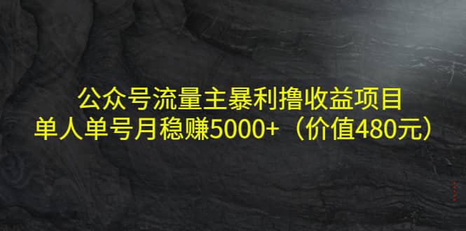 公众号流量主暴利撸收益项目，单人单号月稳赚5000+（价值480元）-讯领网创