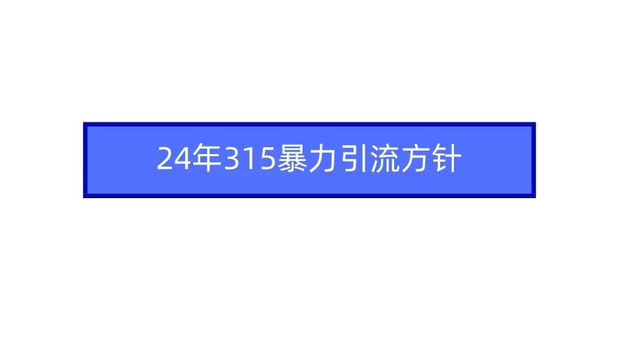 2024年315暴力引流方针-讯领网创