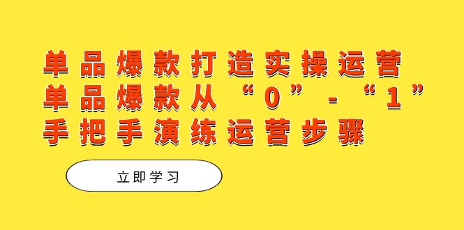 单品爆款打造实操运营，单品爆款从“0”-“1”手把手演练运营步骤-讯领网创