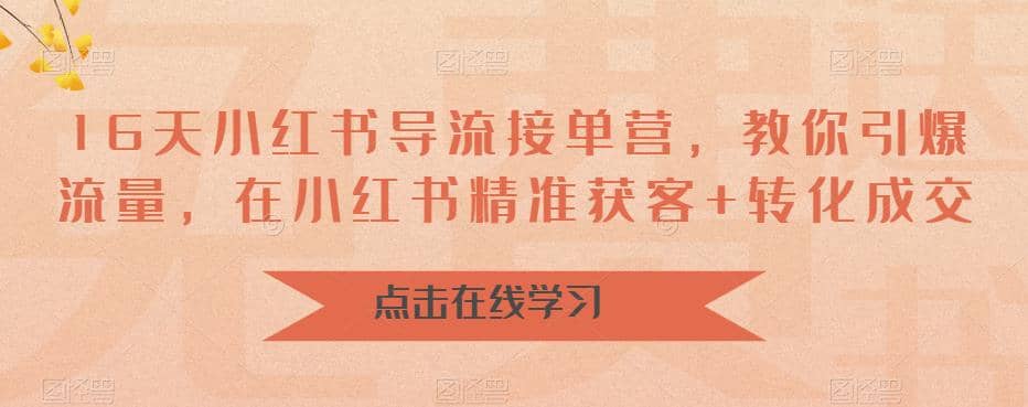 16天-小红书 导流接单营，教你引爆流量，在小红书精准获客+转化成交-讯领网创