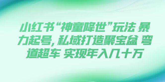 小红书“神童降世”玩法 暴力起号,私域打造聚宝盆 弯道超车 实现年入几十万-讯领网创