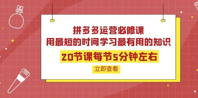 拼多多运营必修课：20节课每节5分钟左右，用最短的时间学习最有用的知识-讯领网创