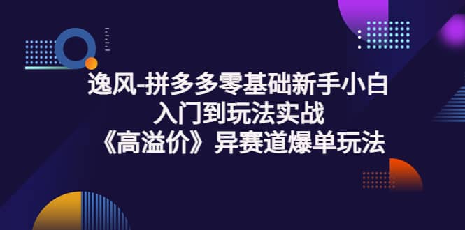 拼多多零基础新手小白入门到玩法实战《高溢价》异赛道爆单玩法实操课-讯领网创