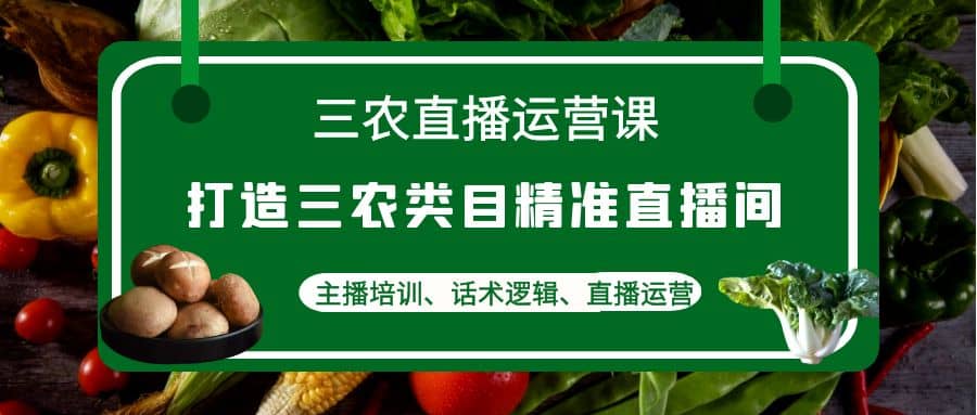 三农直播运营课：打造三农类目精准直播间，主播培训、话术逻辑、直播运营-讯领网创