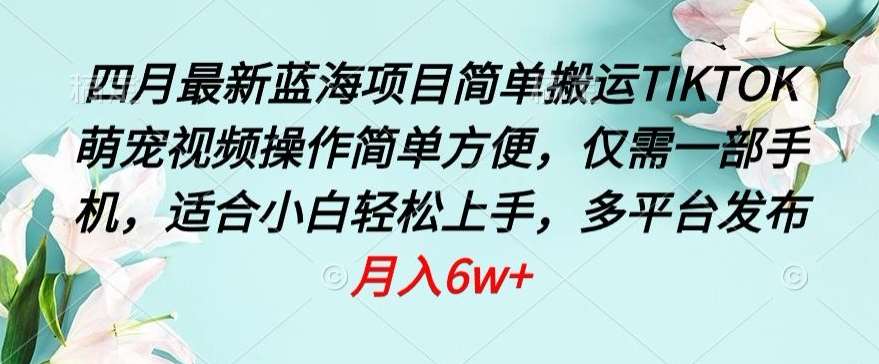 四月最新蓝海项目，简单搬运TIKTOK萌宠视频，操作简单方便，仅需一部手机【揭秘】-讯领网创