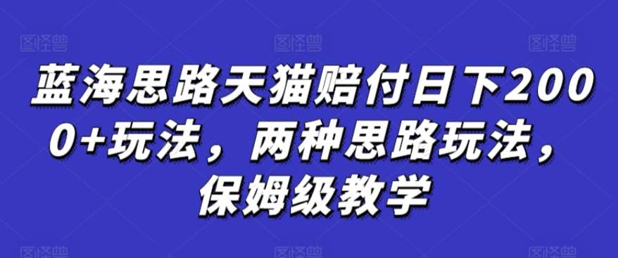 蓝海思路天猫赔付日下2000+玩法，两种思路玩法，保姆级教学【仅揭秘】-讯领网创