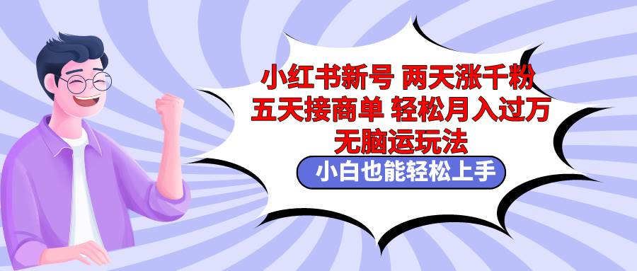 小红书新号两天涨千粉五天接商单轻松月入过万 无脑搬运玩法 小白也能轻…-讯领网创