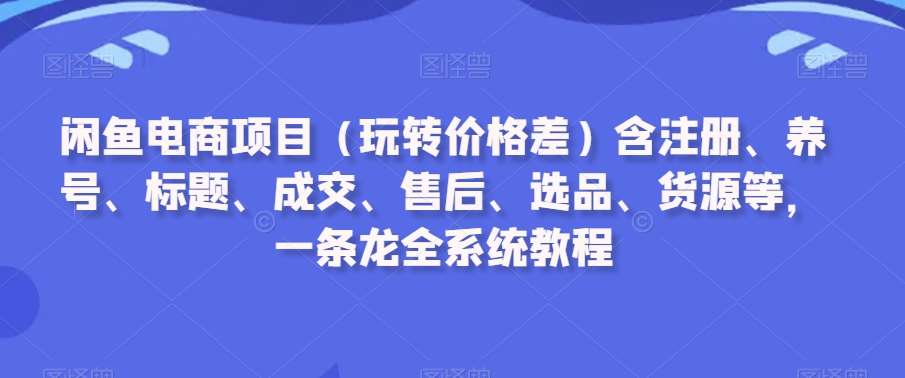 闲鱼电商项目（玩转价格差）含注册、养号、标题、成交、售后、选品、货源等，一条龙全系统教程-讯领网创