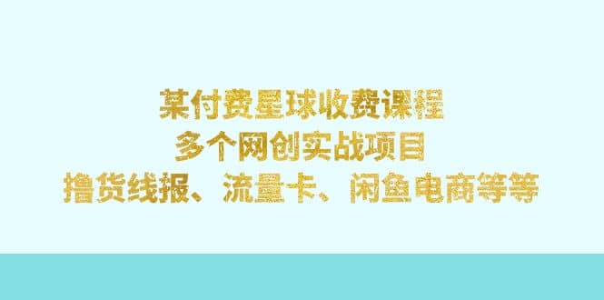 某付费星球课程：多个网创实战项目，撸货线报、流量卡、闲鱼电商等等-讯领网创