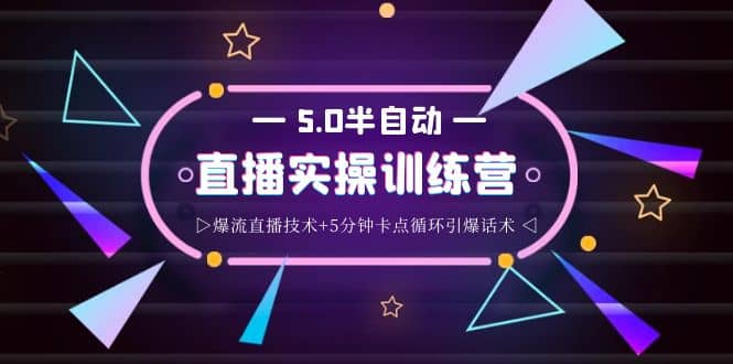 蚂蚁·5.0半自动直播2345打法，半自动爆流直播技术+5分钟卡点循环引爆话术-讯领网创