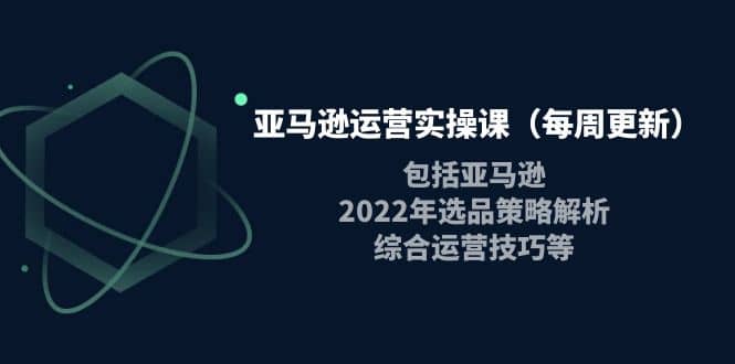 亚马逊运营实操课（每周更新）包括亚马逊2022选品策略解析，综合运营技巧等-讯领网创