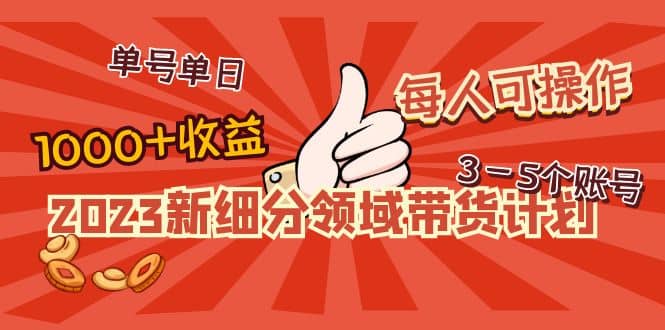 2023新细分领域带货计划：单号单日1000+收益不难，每人可操作3-5个账号-讯领网创