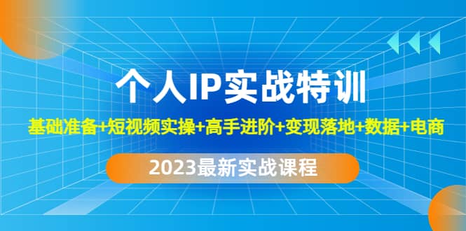 2023个人IP实战特训：基础准备+短视频实操+高手进阶+变现落地+数据+电商-讯领网创