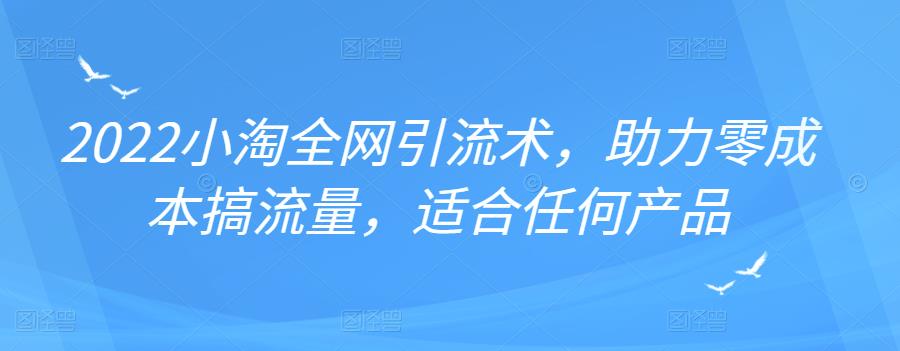 2022年小淘全网引流术，助力零成本搞流量，适合任何产品-讯领网创