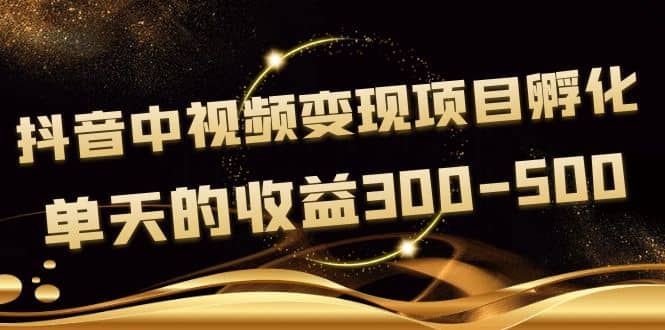 黄岛主《抖音中视频变现项目孵化》单天的收益300-500 操作简单粗暴-讯领网创