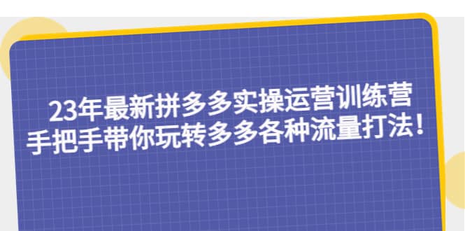 23年最新拼多多实操运营训练营：手把手带你玩转多多各种流量打法！-讯领网创