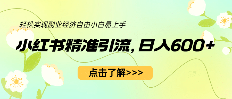 小红书精准引流，小白日入600+，轻松实现副业经济自由（教程+1153G资源）-讯领网创