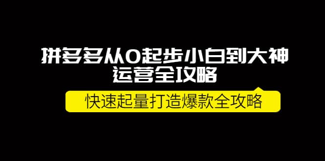 拼多多从0起步小白到大神运营全攻略-讯领网创