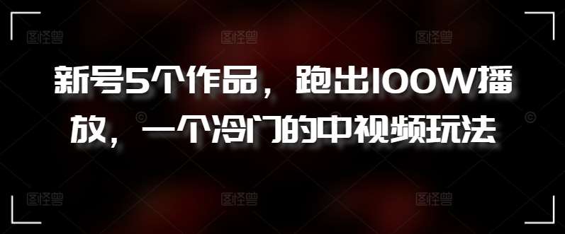 新号5个作品，跑出100W播放，一个冷门的中视频玩法【揭秘】-讯领网创