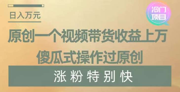 原创一个视频带货收益上万，傻瓜式操作过原创，几分钟做一个视频涨粉特别快【揭秘】-讯领网创