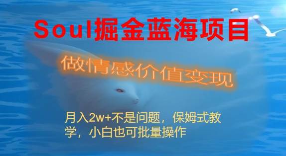 Soul掘金蓝海项目细分赛道，做情感价值变现，月入2w+不是问题-讯领网创