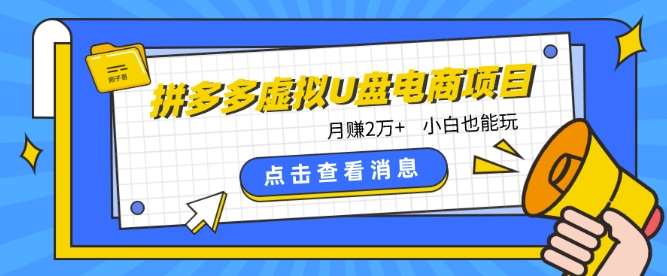 拼多多虚拟U盘电商红利项目：月赚2万+，新手小白也能玩-讯领网创