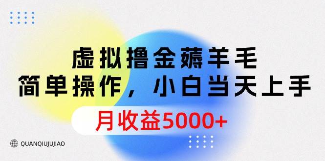 虚拟撸金薅羊毛，简单操作，小白当天上手，月收益5000+-讯领网创