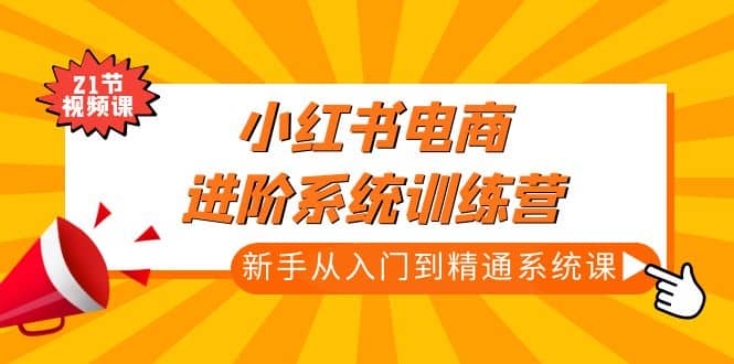 小红书电商进阶系统训练营：新手从入门到精通系统课（21节视频课）-讯领网创