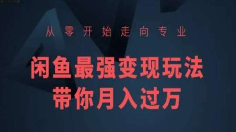 从零开始走向专业，闲鱼最强变现玩法带你月入过万-讯领网创