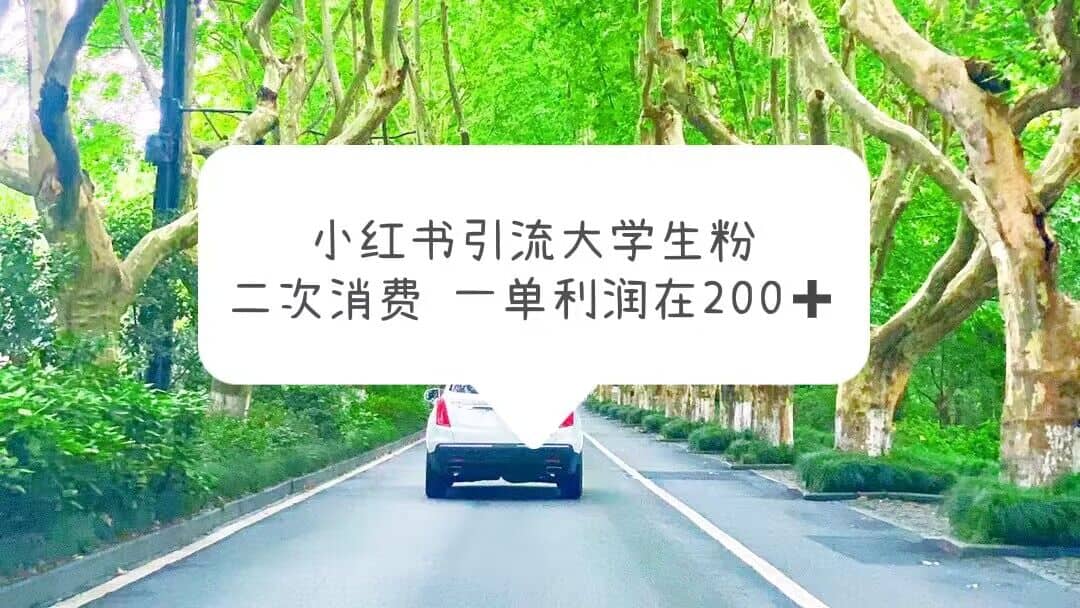 小红书引流大学生粉，变现项目，一单利润在200+（教程+资源）-讯领网创