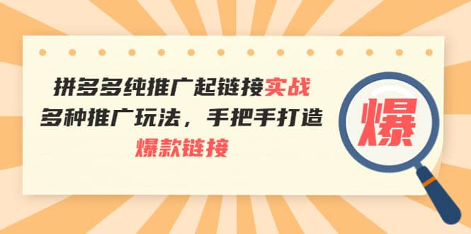 拼多多纯推广起链接实战：多种推广玩法，手把手打造爆款链接-讯领网创