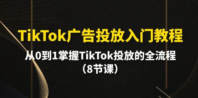 （10085期）TikTok广告投放入门教程，从0到1掌握TikTok投放的全流程（8节课）-讯领网创