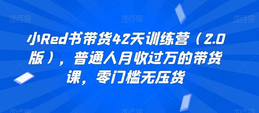 小Red书带货42天训练营（2.0版），普通人月收过万的带货课，零门槛无压货-讯领网创