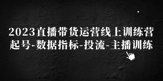 2023直播带货运营线上训练营，起号-数据指标-投流-主播训练-讯领网创