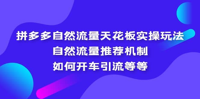 拼多多自然流量天花板实操玩法：自然流量推荐机制，如何开车引流等等-讯领网创