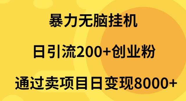 （9788期）暴力无脑挂机日引流200+创业粉通过卖项目日变现2000+-讯领网创